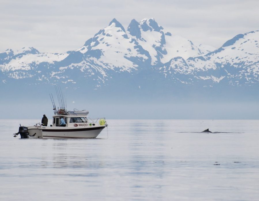 Alaska Fishing and Inside Passage