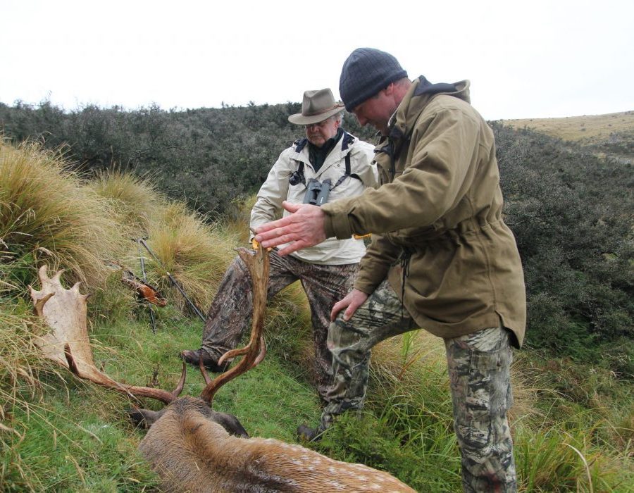 New Zealand Red Stag Hunting - Christchurch