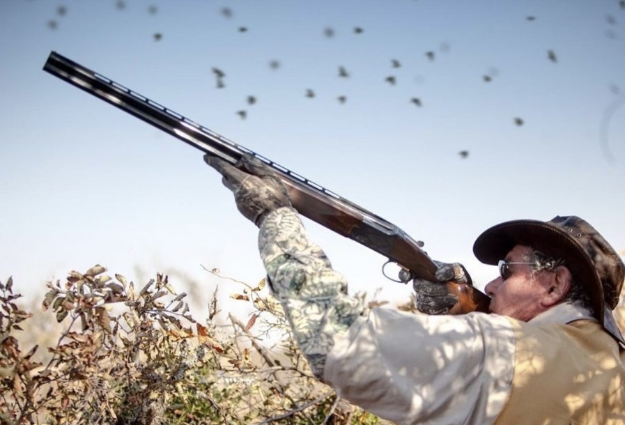 Argentina Luxury Dove Hunting