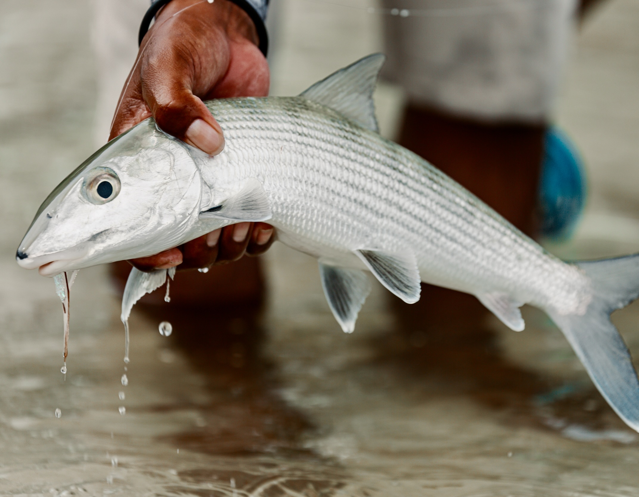 Belize Fishing Lodge