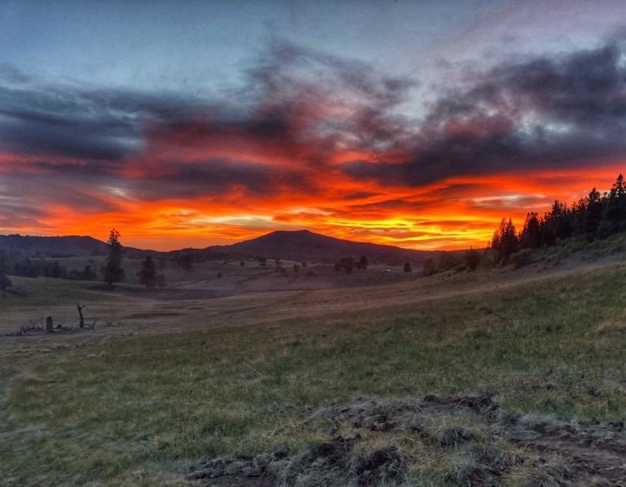 New Mexico Big Game Hunting Lodge