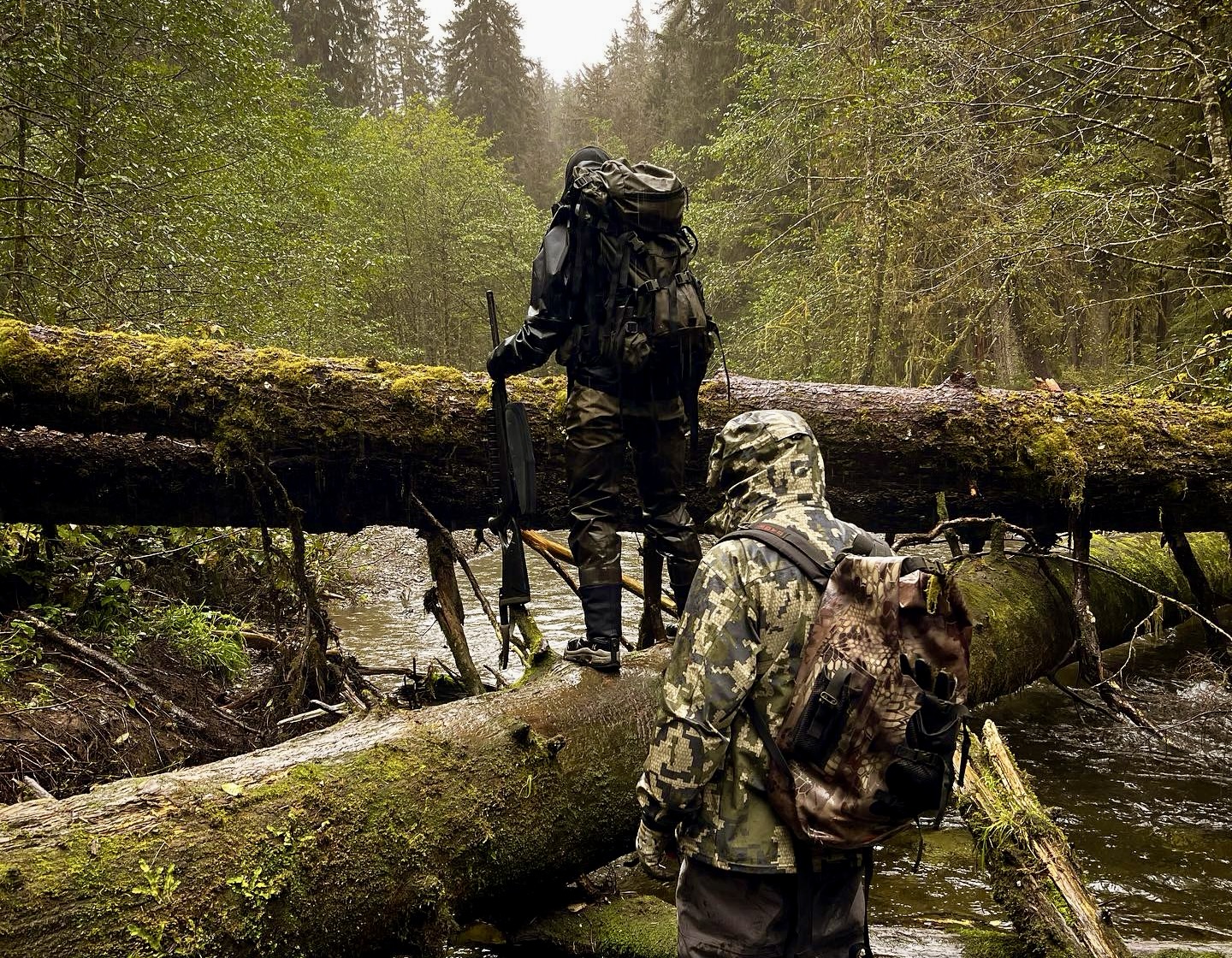 Alaska Brown Bear Cabin Hunt