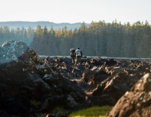 Alaska Brown Bear Cabin Hunt 