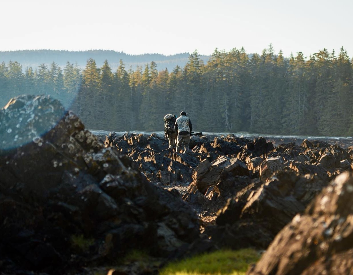 Alaska Brown Bear Yacht Hunt