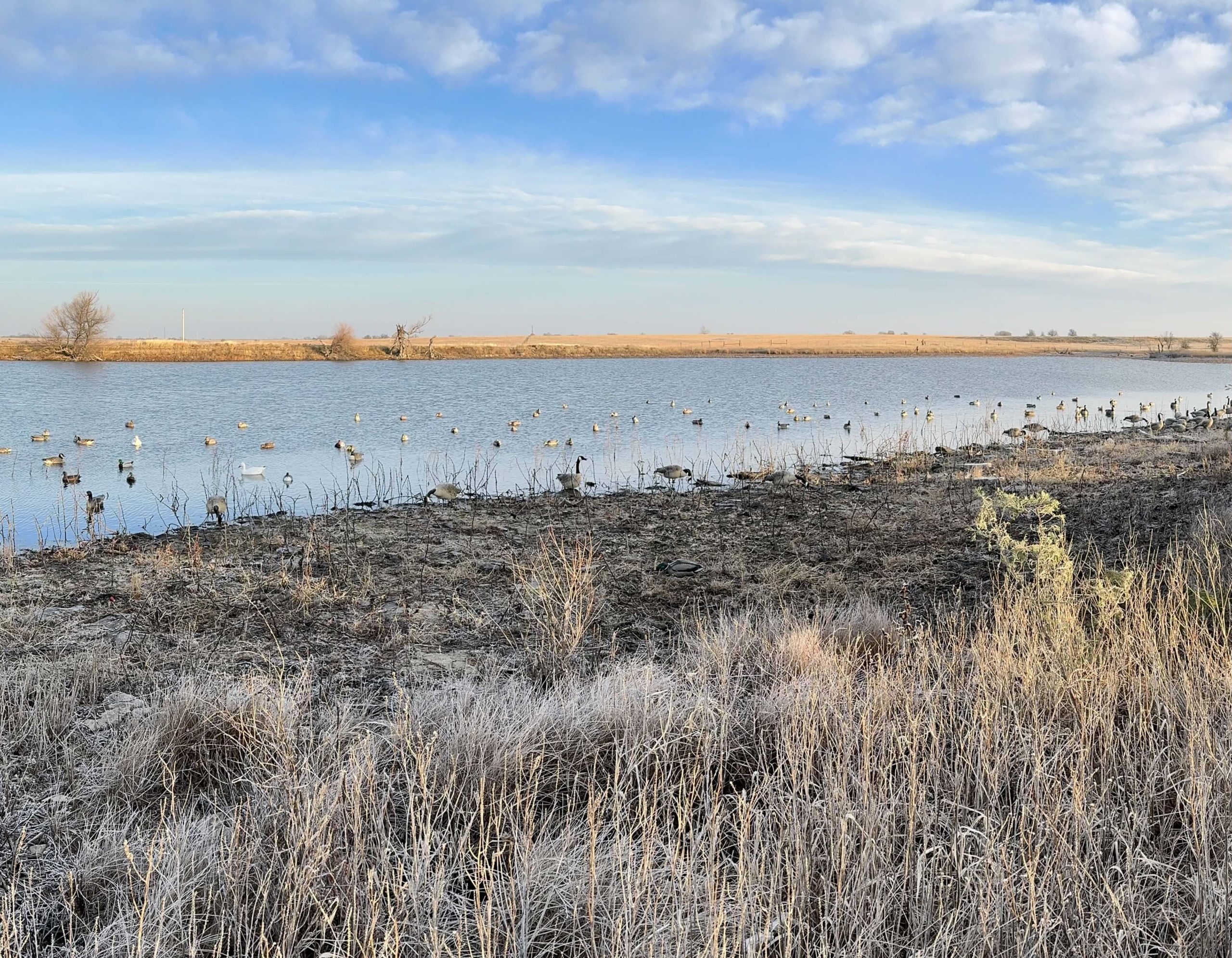 Kansas Waterfowl and Upland Hunt - Corporate & Groups