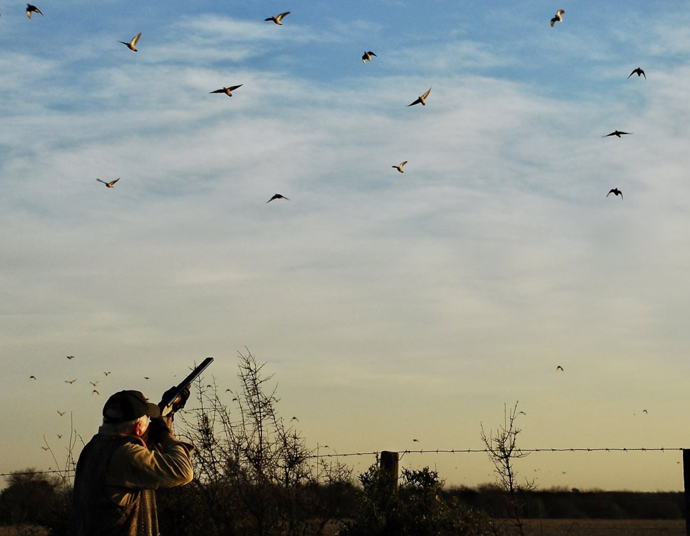 Argentina Duck, Dove, Perdiz Hunt