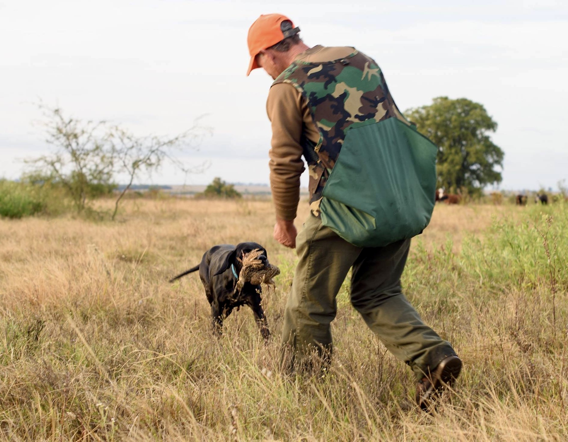 Argentina Duck, Dove, Perdiz Hunt