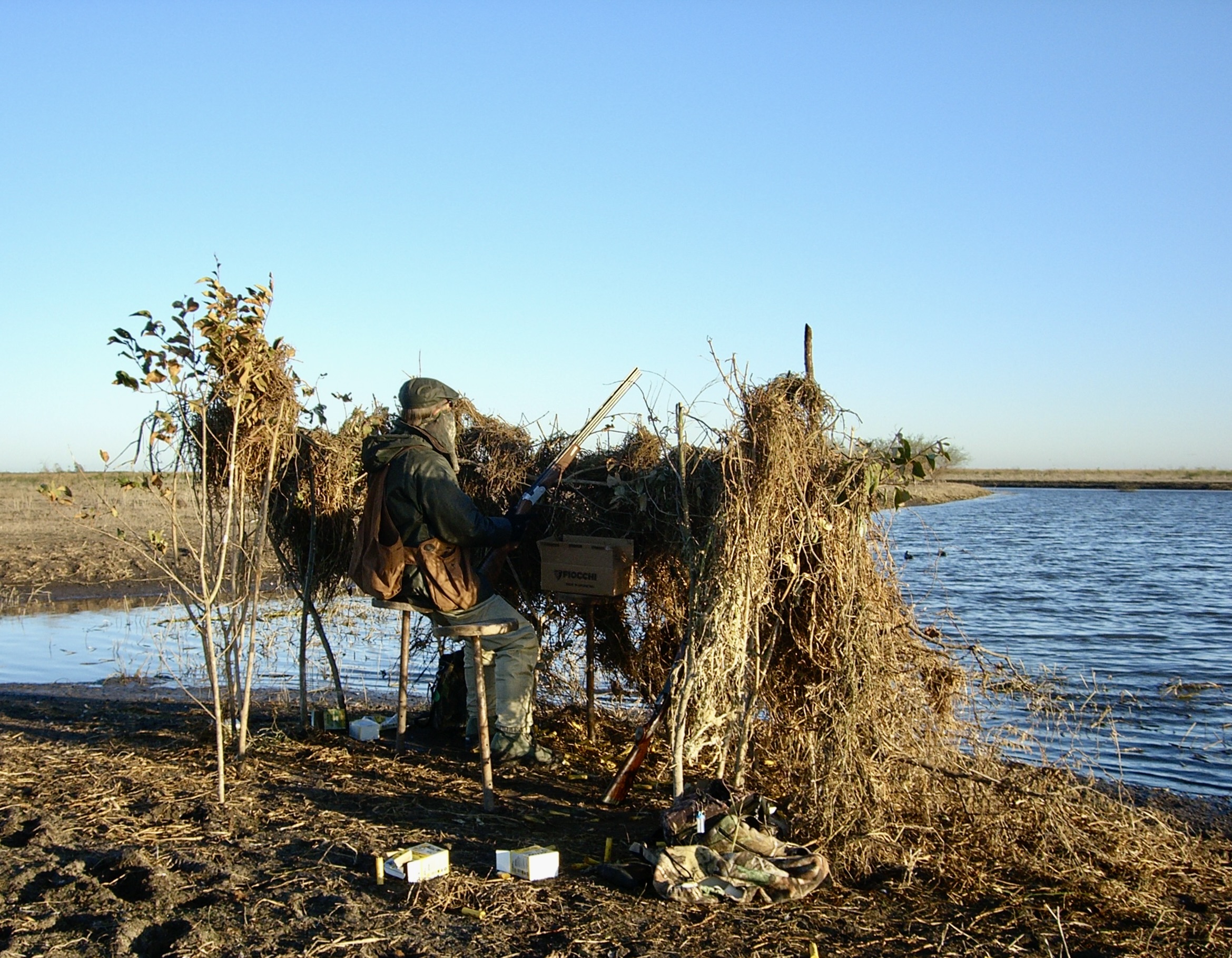 Argentina Duck, Dove, Perdiz Hunt