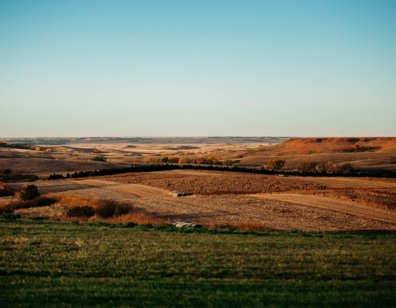 South Dakota Preserve & Wild Pheasant Lodge - Dallas