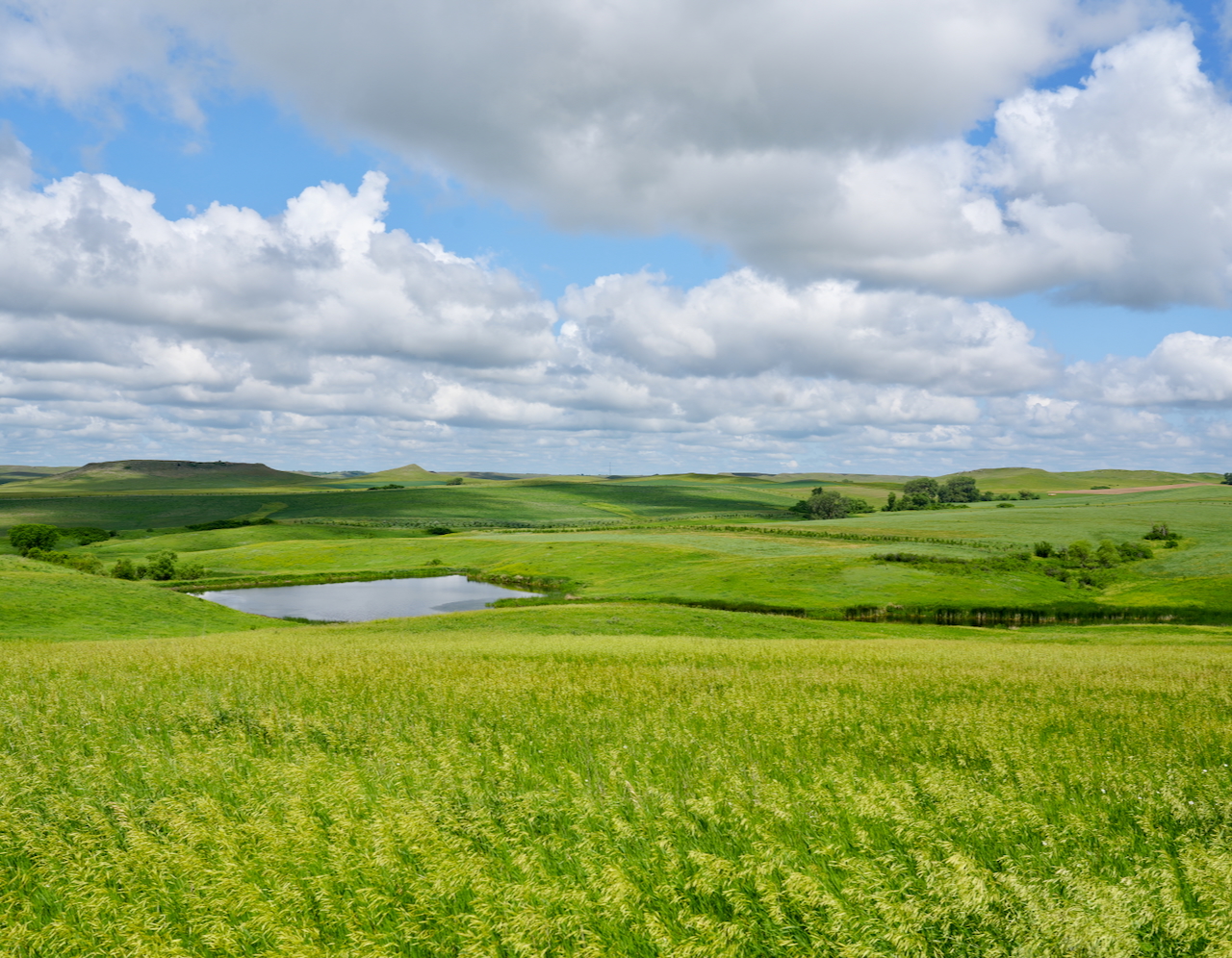 South Dakota Preserve & Wild Pheasant Lodge - Dallas