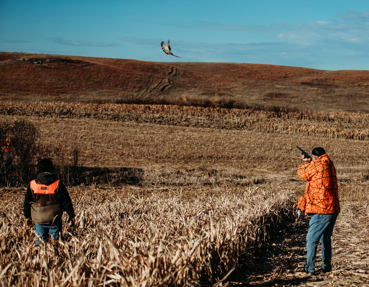 South Dakota Preserve & Wild Pheasant Lodge - Dallas
