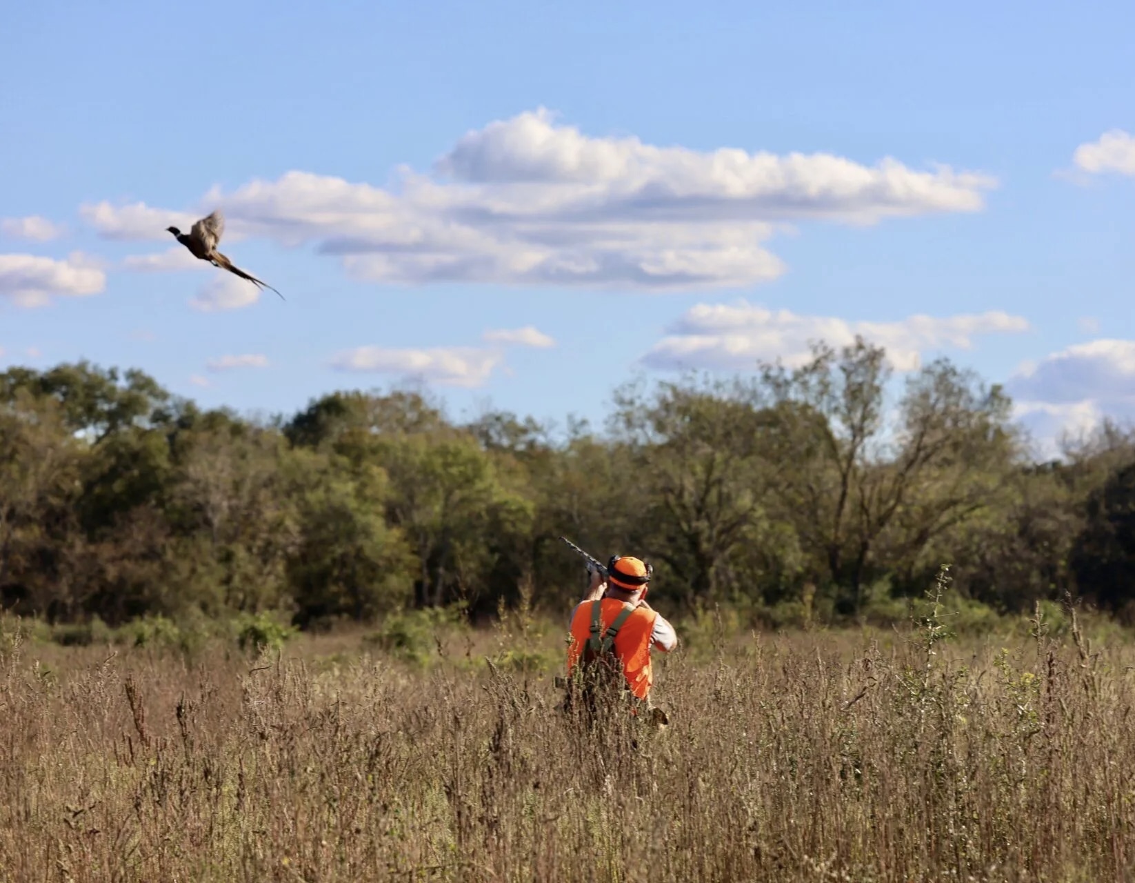 Texas Duck, Upland and Fishing Lodge