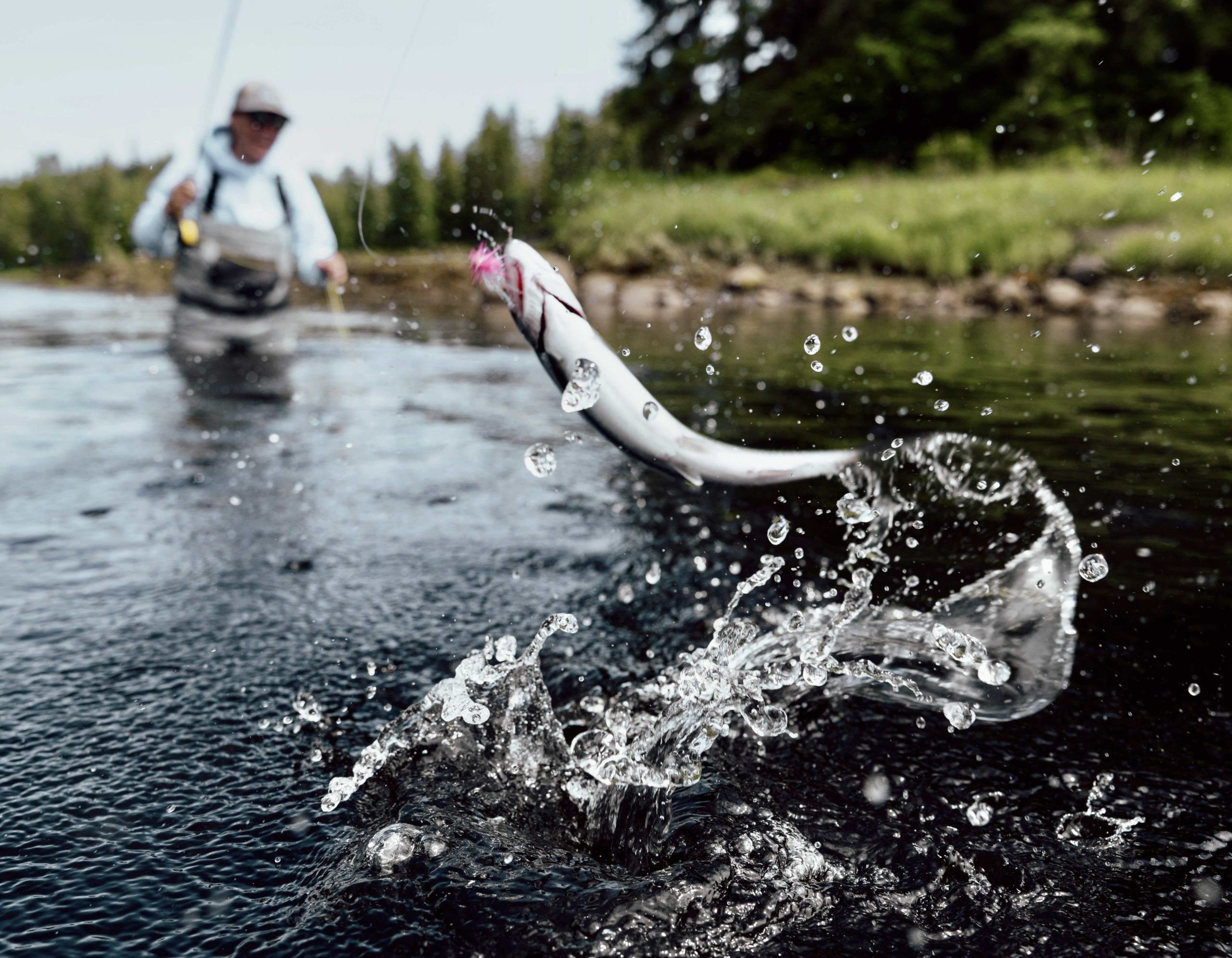 Alaska Fishing and Adventure Lodge on Prince of Wales Island