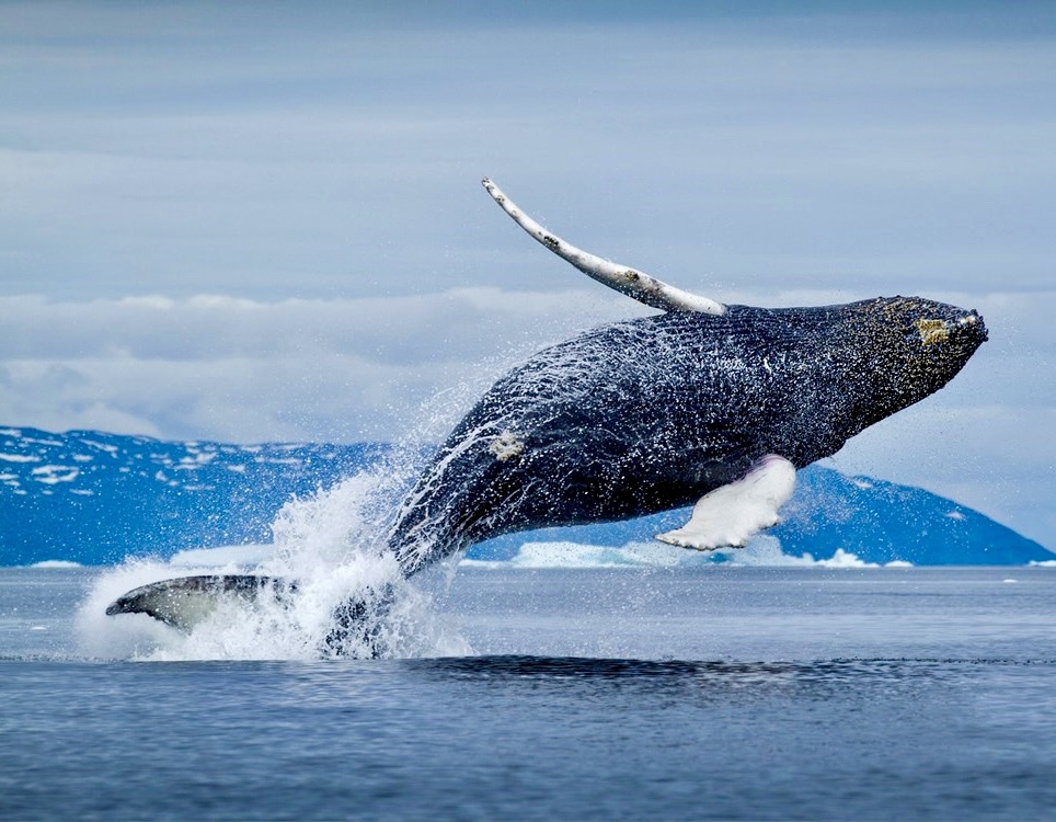 Alaska Fishing and Adventure Lodge on Prince of Wales Island