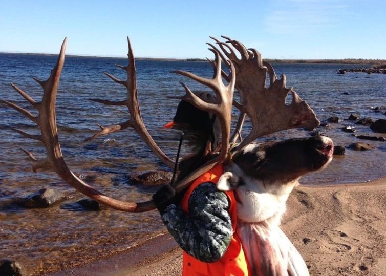 Manitoba Barren Ground Caribou hunting Lodge
