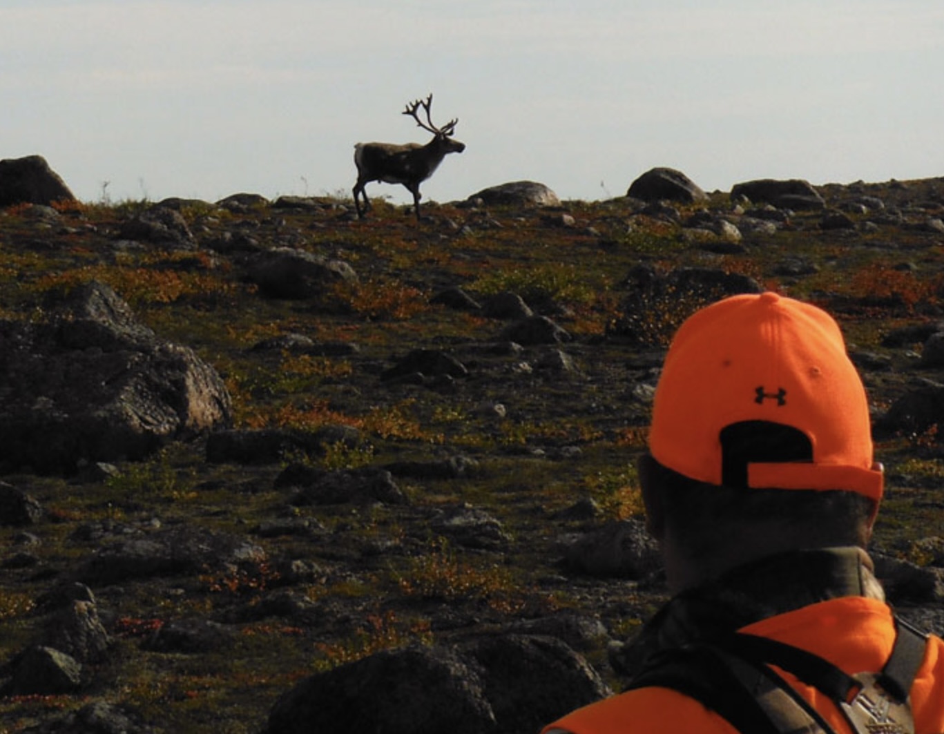 Manitoba Barren Ground Caribou hunting Lodge